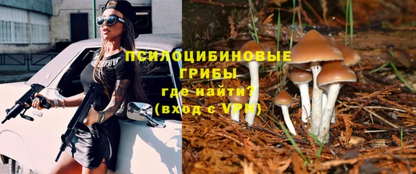 индика Алексеевка