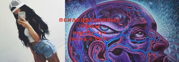 индика Алексеевка
