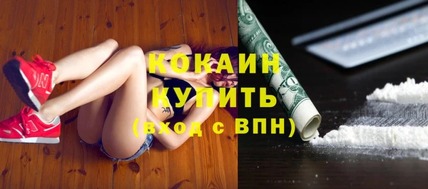 индика Алексеевка